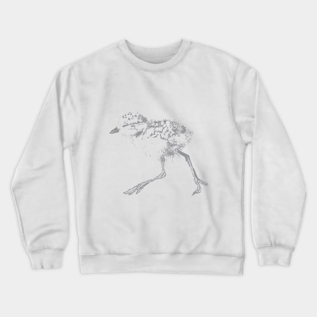 Baby Plover Crewneck Sweatshirt by noot